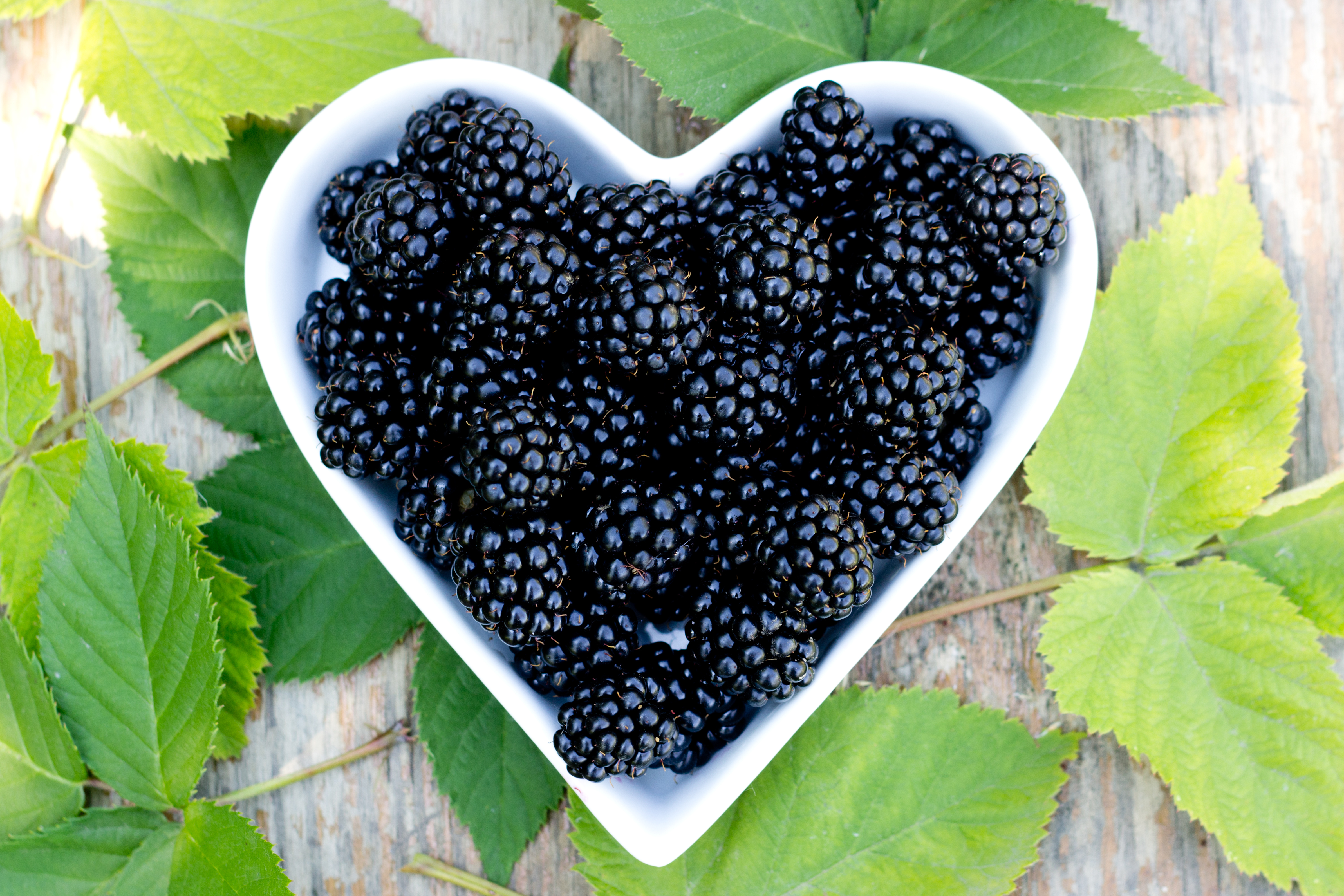 10 superfoods you need in your life