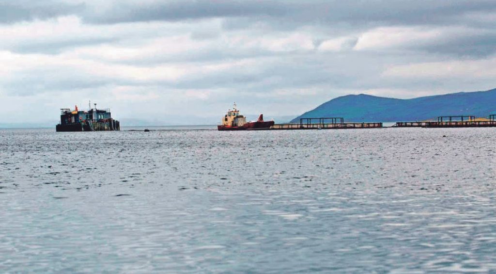 Fish farming jobs go in Argyll Argyllshire Advertiser