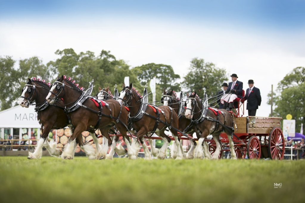 Thousands of entries set for Royal Highland Show Argyllshire Advertiser