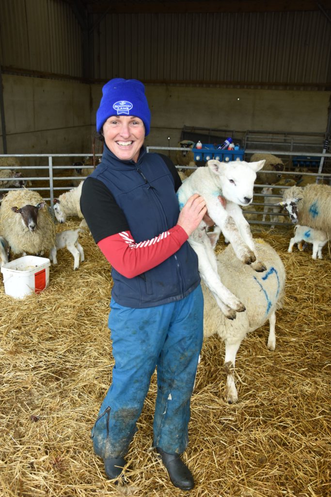 Lamber Kirstie Barton shows visitors a young sheep that was born less than 24 hours earlier.