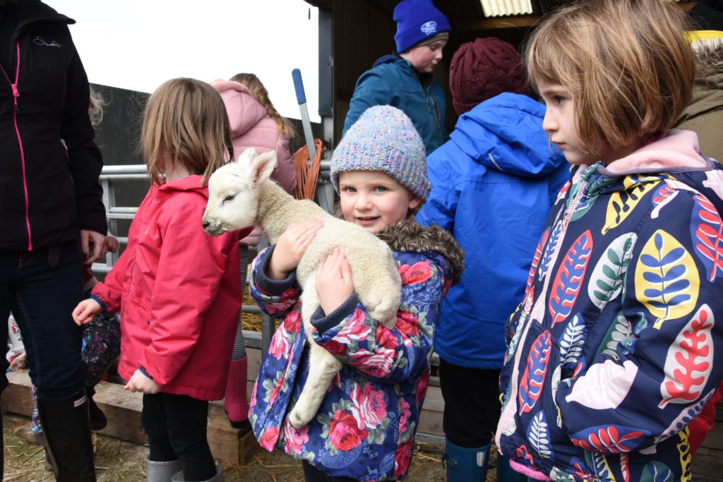 Katie Fleming and her friends have a chance to hold a lamb.