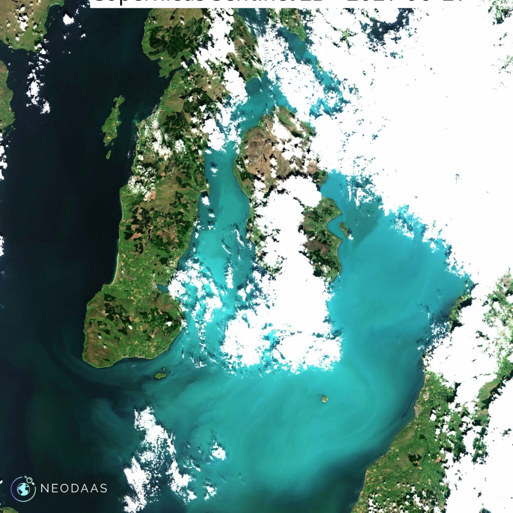The extent of the E. hux bloom was captured in satellite imagery from the NERC Earth Observation Data Acquisition and Analysis Service (NEODAAS). Photograph: NEODAAS.