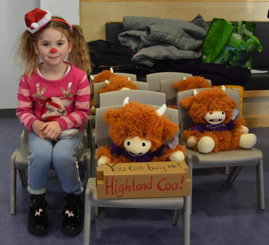 Reindeer Arianna McCabe is as pretty as a picture beside the Highland Coos.