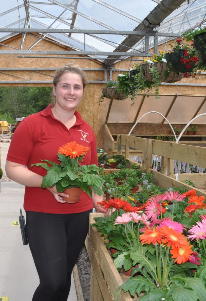 Gardeners world at Cladach Gardeners world at Cladach
