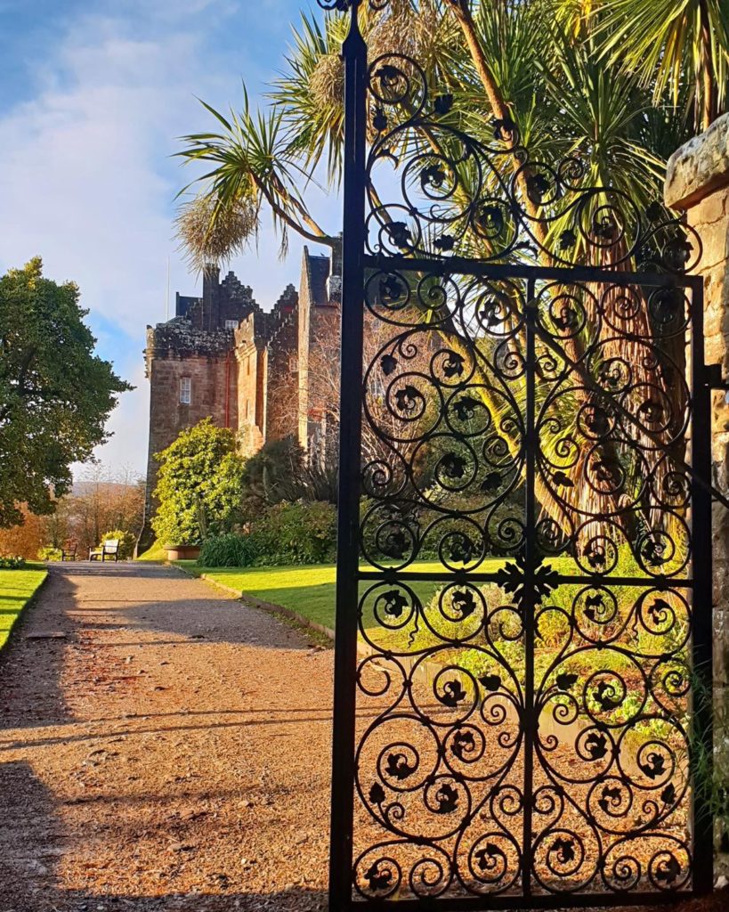 Plant highlights at Brodick Castle this September Plant highlights at Brodick Castle this September
