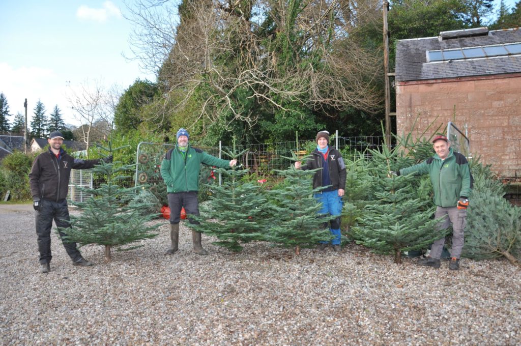 Cladach Garden Centre keeps tradition alive with local Christmas trees