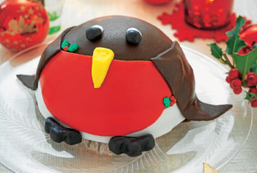 Robin red breast cake