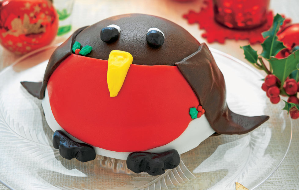 Robin red breast cake