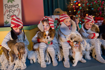 Four children in pale grey onesies, elf hats with dog ears and mop-string tunics, all cuddling a puppy. Sign says Puppies For Sale