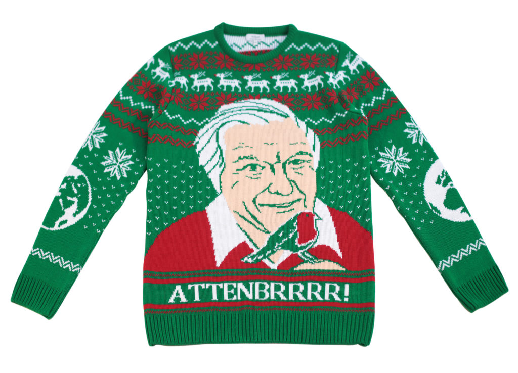 Green, white and red machine knitted jumper with Sir David Attenborough with a robin on his hand
