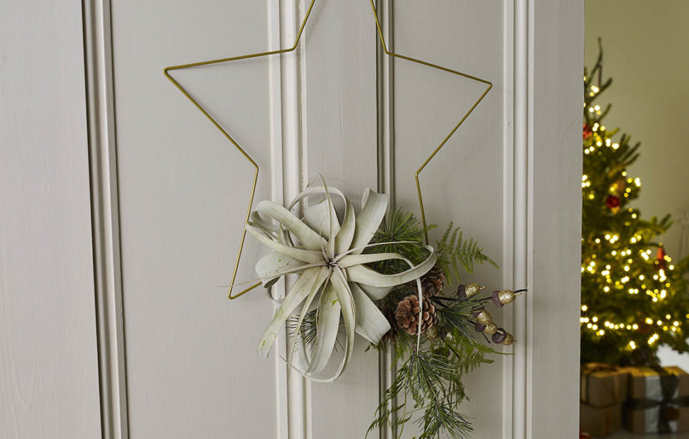 Wire star with foliage at bottom hanging on a door