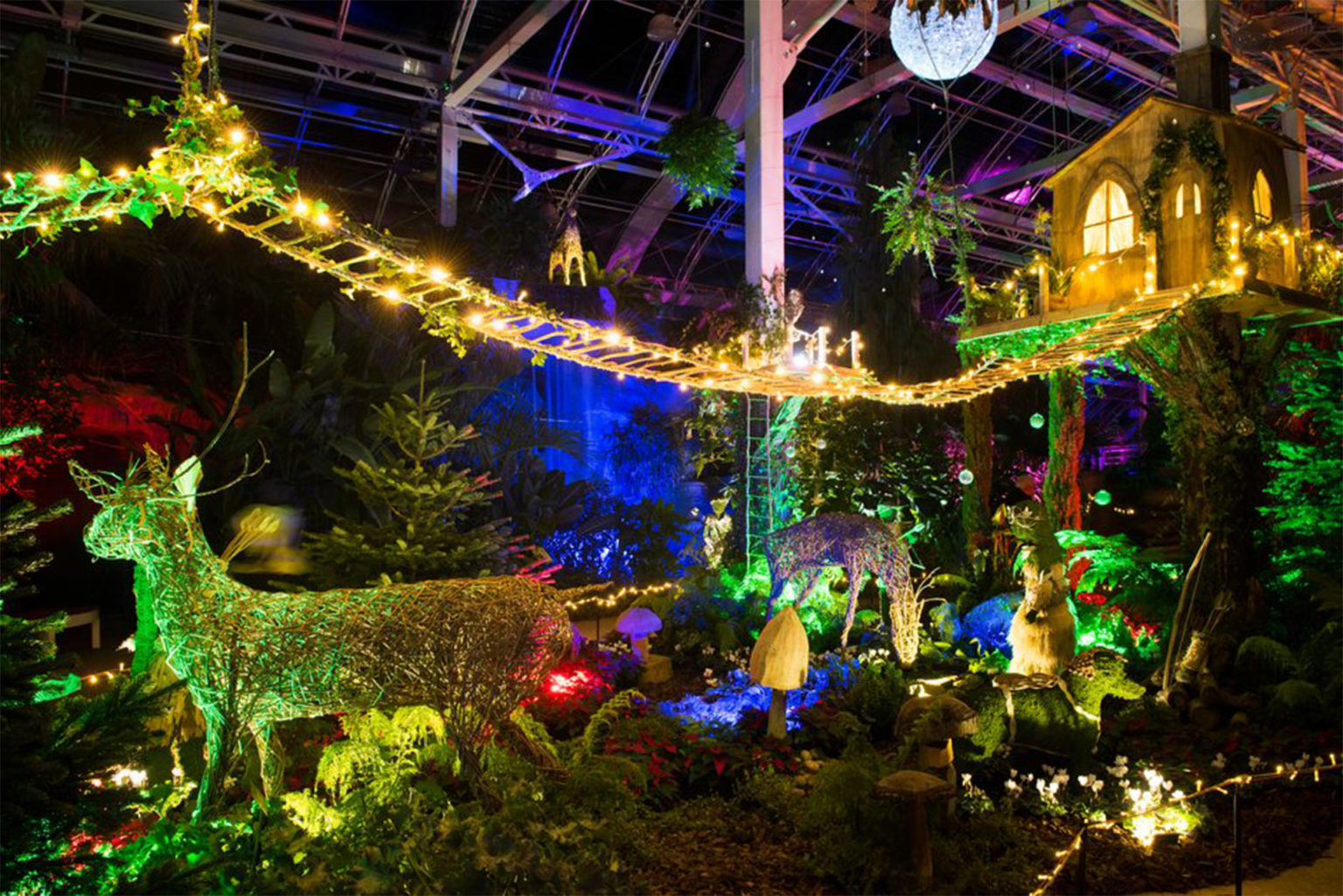 Ready, Set, Glow This Christmas At The RHS Gardens Best Ever Christmas