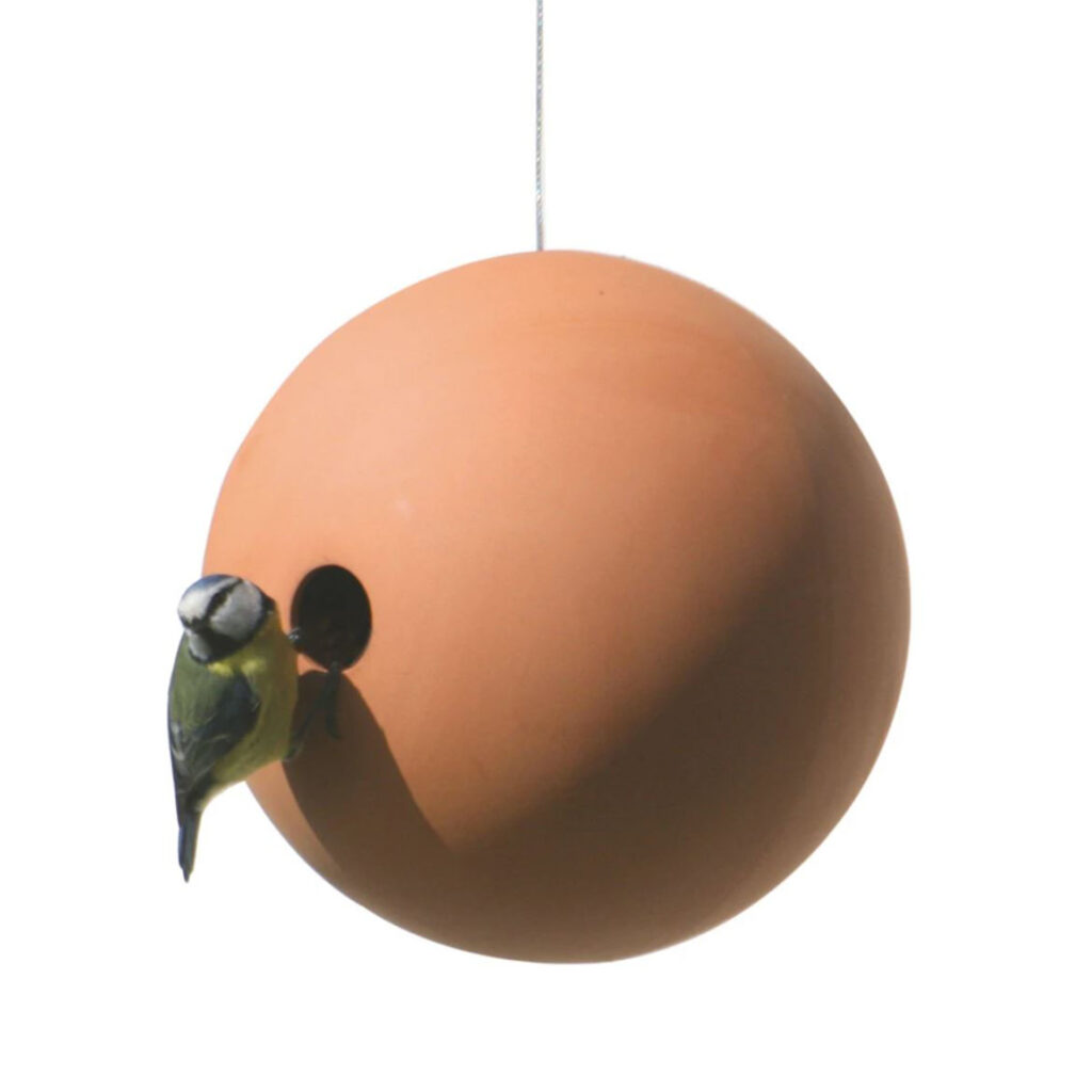 Bird house in terracotta sphere, blue tit perching at entrance hole
