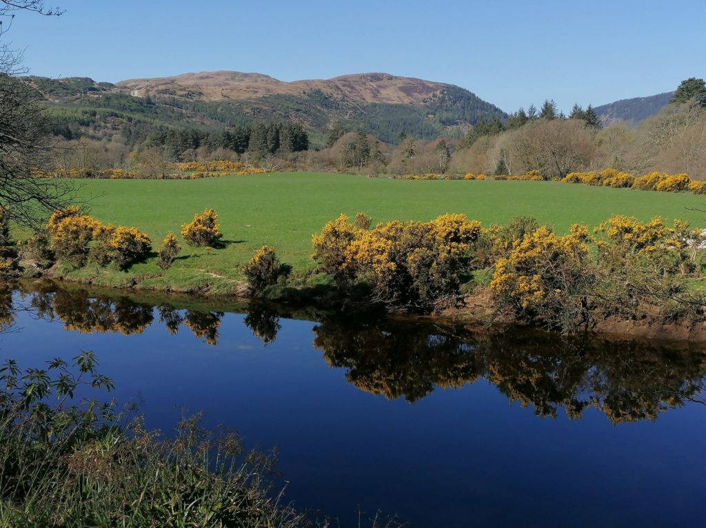 This week's photograph, taken by Debra Clarke , is of the river at Waterfoot in East Kintyre on a beautiful day in April.