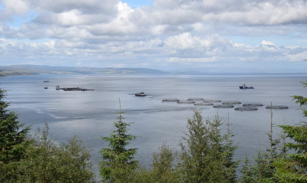 Mowi's Carradale North salmon farm shifted position during Storm Ellen.