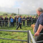 Kevin MacIntyre, Glenahervie, in the ring; he broke his own £900 record, set last year, with the sale's first ever four-figure price achieved, before the next tup, from Thomas Cameron, Gartvaigh, broke the record again.