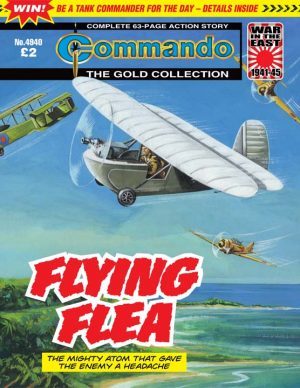 Flying Flea