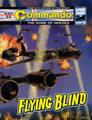 Flying Blind, cover by Janek Matysiak