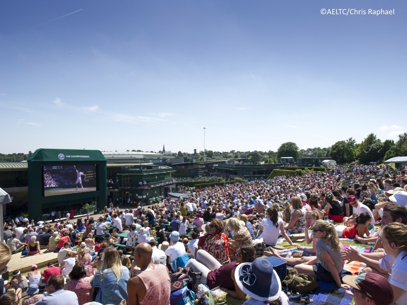 Wimbledon Tennis