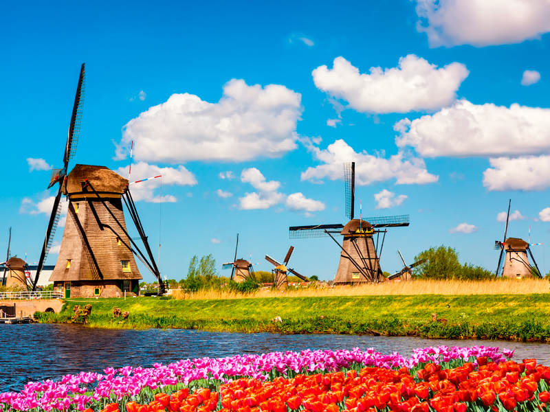 Amsterdam, Kinderdijk and the Dutch Bulbfields River Cruise