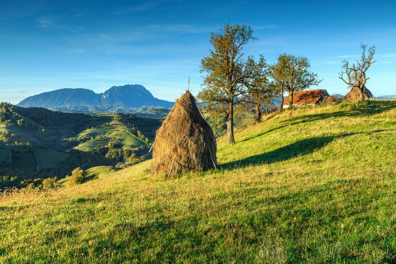 translyvanian alps