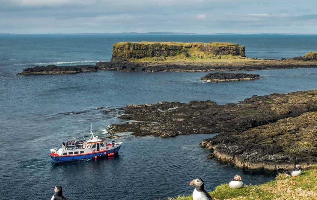 Mull Wildlife