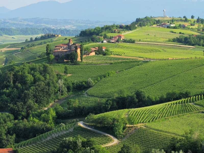 Piedmont Italy - asti
