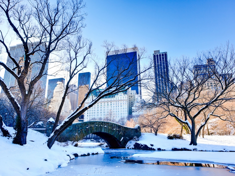 7 Reasons to Visit New York this Christmas Season - DC Thomson Travel