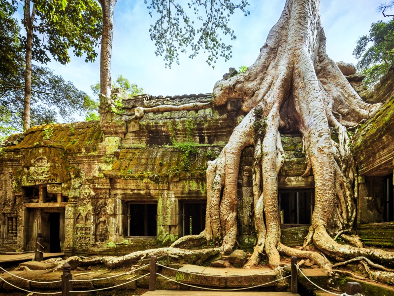 Temples to visit whilst on holiday - ta prohm