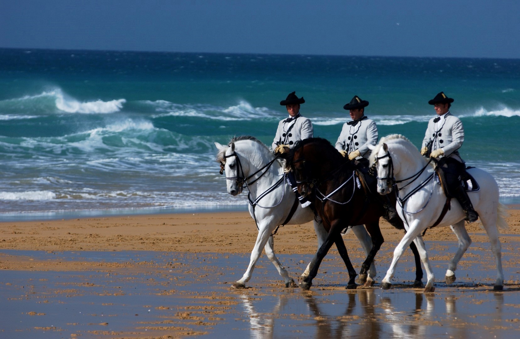 costa de la luz