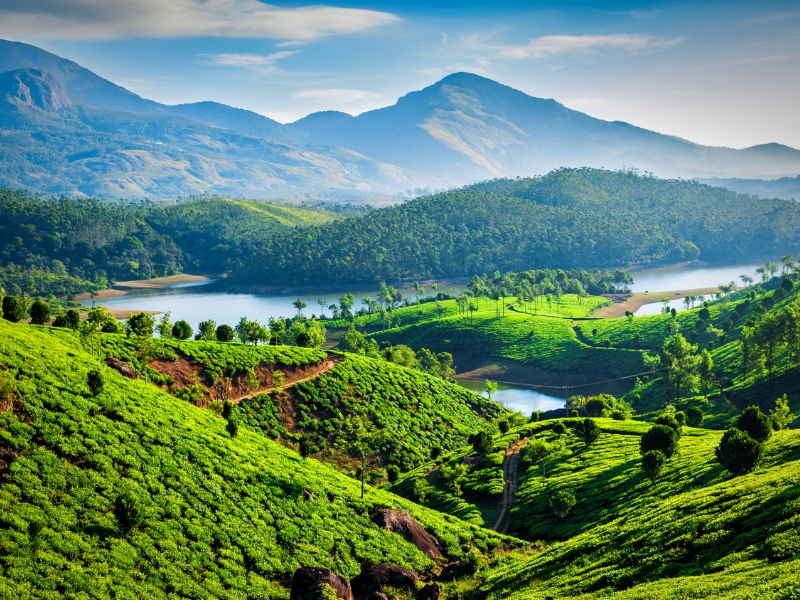 Classic Kerala Escorted Tour