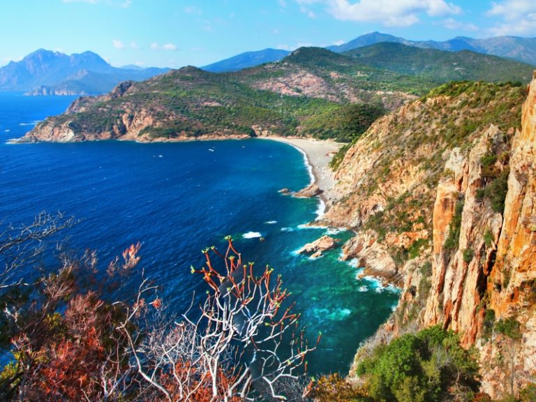 why visit corsica