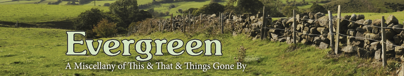 Evergreen Banner Image