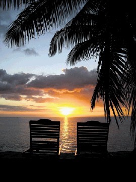 BELIEVE IT OR NOT: Tony Mckay is working hard in the South Pacific and not relaxing under a palm tree