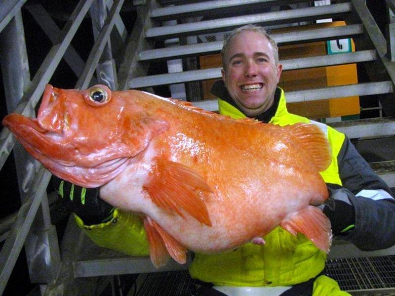 Catering manager Dag Skuseth with the 22-pounder.