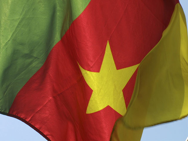 The flag of Cameroon