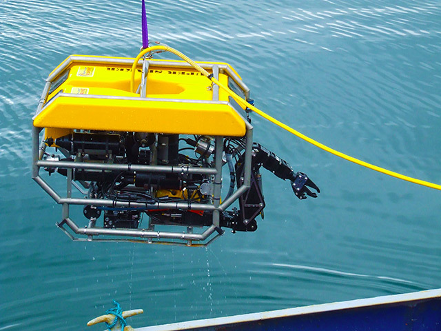 Remotely operated vehicle (ROV)