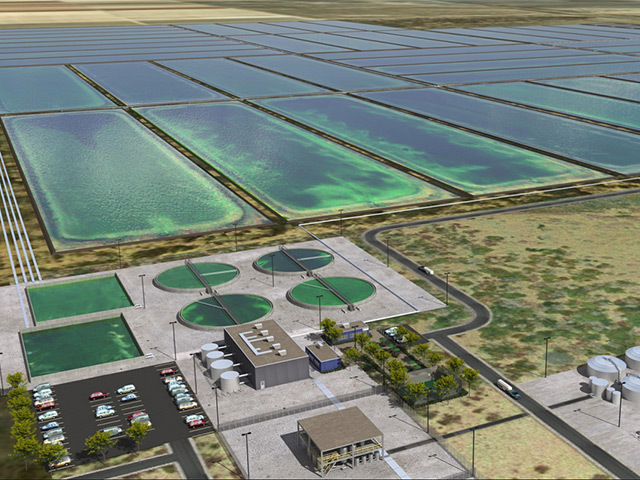 GREEN OIL PRODUCTION: US company Sapphire Energy has big ambitions for algae to energy conversion