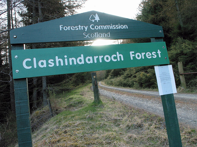 Clashindarroch Forest, where the Repower turbines will be erected