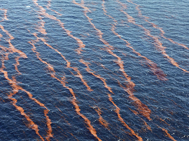 Oil on the surface of the water after the Macondo disaster