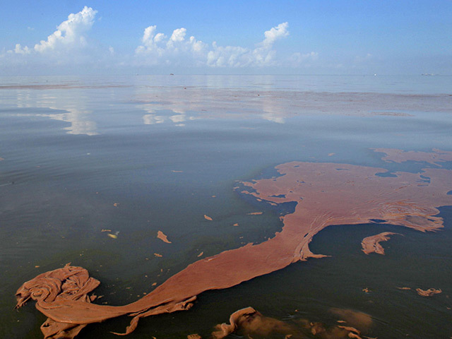 Oil floats on the Gulf of Mexico surface after the 2010 disaster