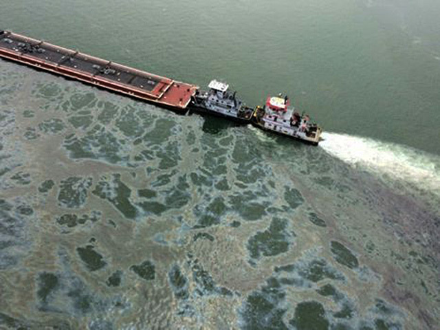 Crews try to clean up oil spilled by the barge collision in Galveston Bay