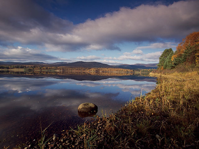 Insh Marshes. Photo by RSPB