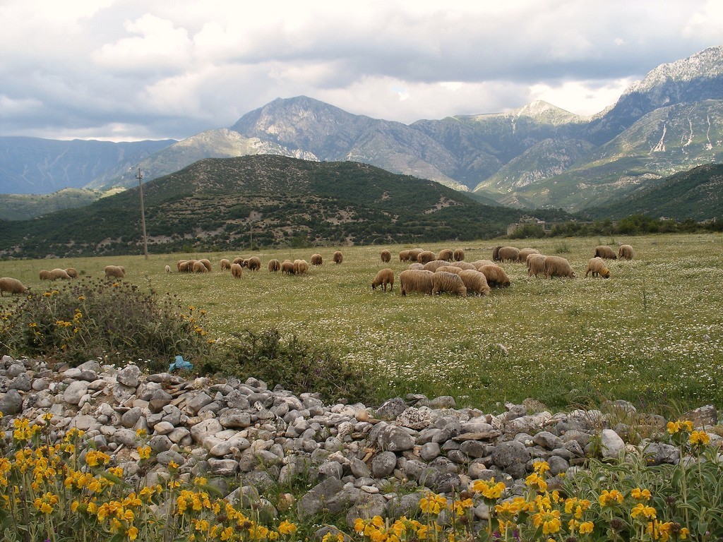 The Albanian countryside. Picture by godo godaj, Wikipedia.