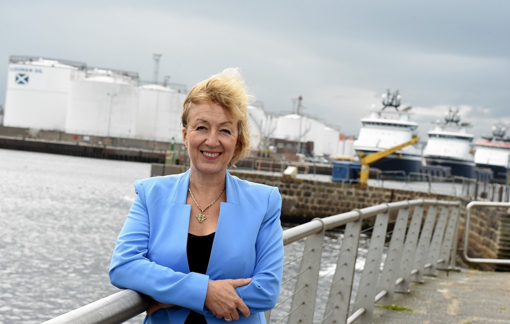 Energy Minister Andrea Leadsom