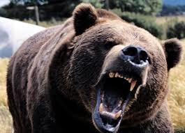 FTSE dips into bear market