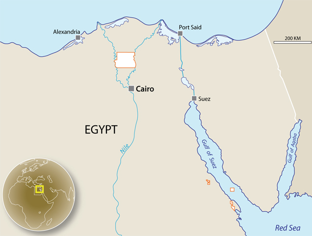 A map showing SDX's assets in Egypt