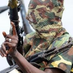 Niger Delta Avengers news