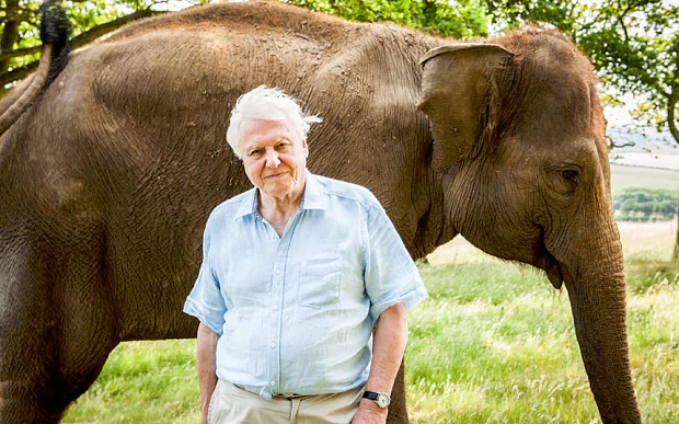 North Sea recovery like elephant in David Attenborough programme