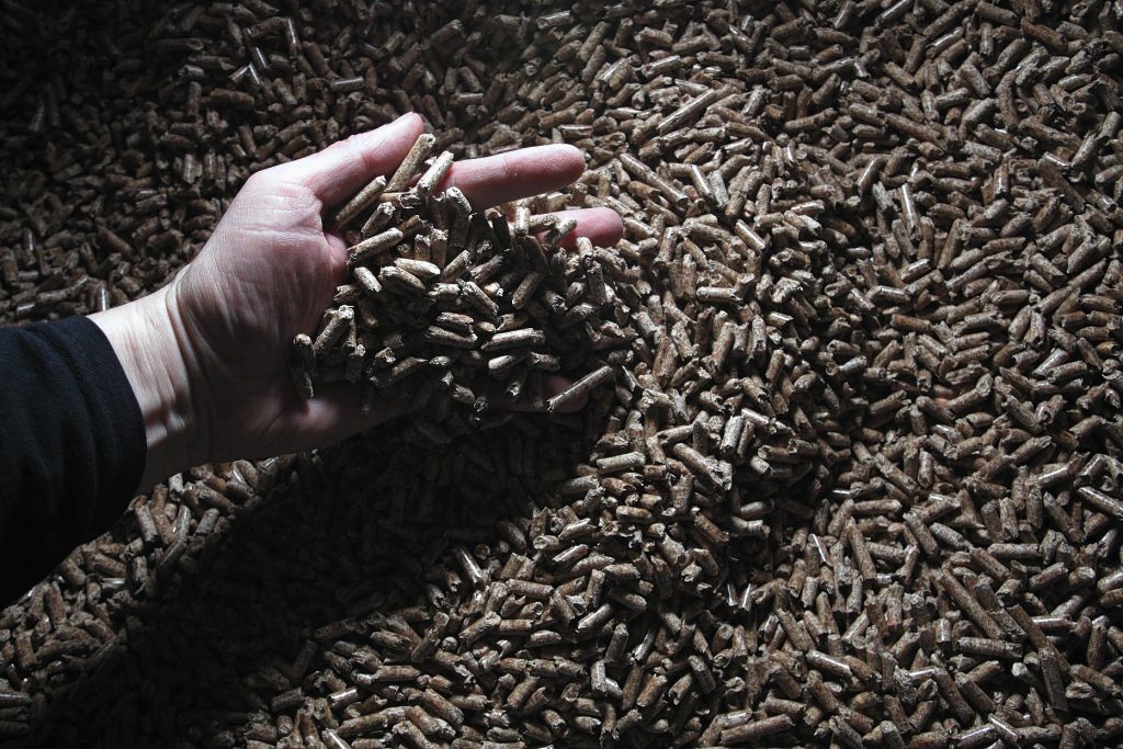 Fuel for new biomass boiler